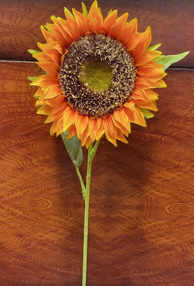 Orange Sunflower Stem