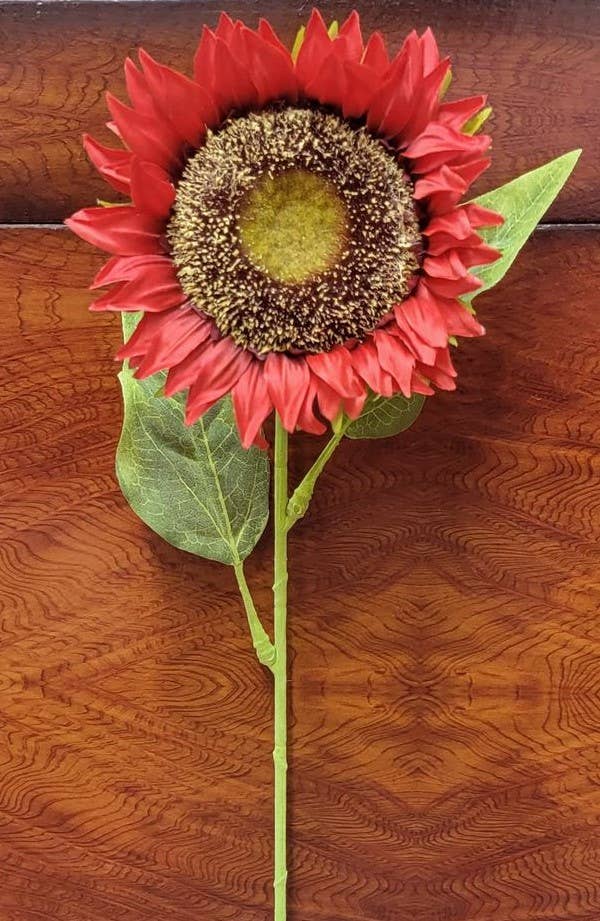 Red Sunflower Stem